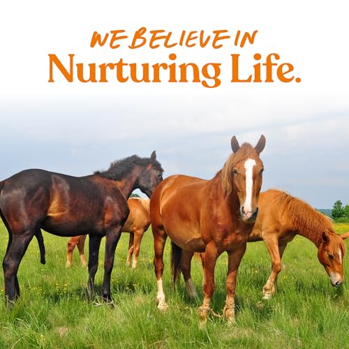 Manna Pro Tasty Delights Horse Treats, Carrot Flavor, Made in USA, 3 lb Tub | Bite-Size Training Treats, Carrot Flavor, Great for Daily Rewards, Encourages Positive Reinforcement for Horses - Image 6
