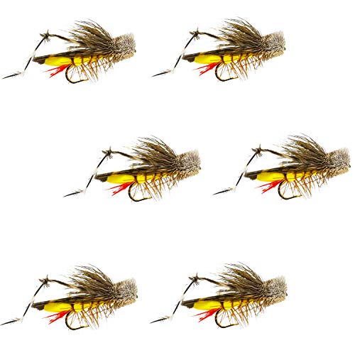 Dave's Hopper Dry Fly Fishing Set - 6 Pcs, Hook Size #10 - Topwater Terrestrial Grasshopper Flies For Bass, Panfish, Trout By Thor Outdoor #TOP25