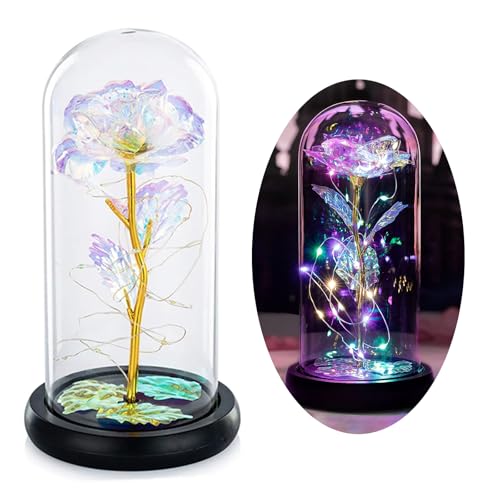 Glasseam Die Schöne Und Das Biest Rose In Glaskuppel LED-Lichter Kristallrose Blumen Geschenk Zum Geburtstag Jubiläum Valentinstag Hochzeit Freundin Frau Frauen
