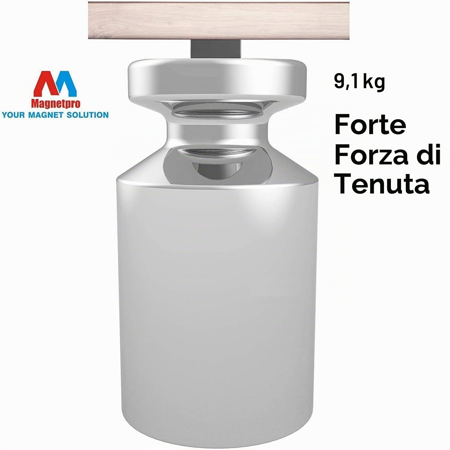 Magnetpro Magneti rettangolari rivestiti in PP 9,1 kg, dimensioni della forza 5,1 x 1,9 x 0,8 cm, guscio per uso alimentare, antiruggine e impermeabile, magneti multiuso per casa per esterni
