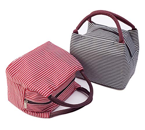 BIGWISH Insulated Lunch Bag Reusable Cute Lunch Container for Girl Oxford Cloth Material Pack of 2Pcs