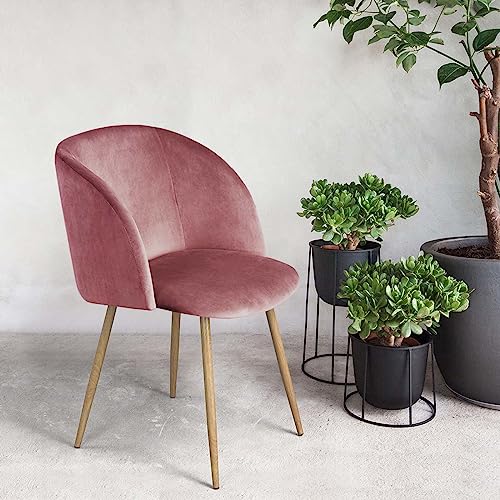 ReseeZac Silla de Comedor Europea, Silla de Cocina, Silla de Salón, Silla de Dormitorio, Sillón para Restaurante Cocina Oficina Cafetería, Asiento de Terciopelo, Patas de Metal (Rosa)