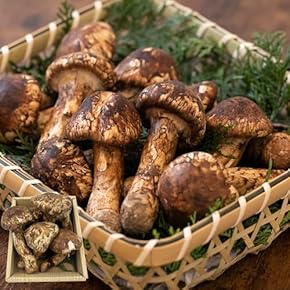 t*k様 【今週お得】国産天然松茸約800g 楽天市場】送料無料 天然国産 高野松茸 約200g 300gマツタケ