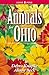 Annuals for Ohio