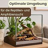 Glas Terrarium  Glasterrarium Belüftung Reptielien Fall Guillotine Tür - 3