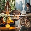 Amazon.com : HIIZO T19 Ceramic Aroma Diffuser – 200ml Ultrasonic ...