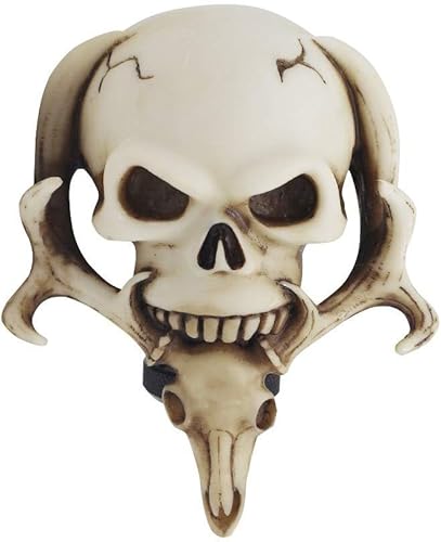 Sakali Specail - Calavera con barba para palanca de cambios de coche, ajuste universal para la mayoría de transmisiones manuales o transmisión