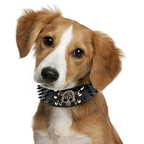 Beirui Spiked Leather Dog Collar - 3 Rows Bullet Rivets Studded PU Leather - Cool Skull Pet Accessories Best Choice for Medium and Large Dogs,Black 15-18" - Thumbnail 4