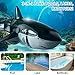 BLmukce 2.4GHz Remote Control Shark Toy for Pool, 1:18 Scale High Simulation RC Shark with Light & Spray Water, Electric Remote Controlled Swimming Water Pool Toys for 4 5 6 7 Year olds Kid Boys Girls