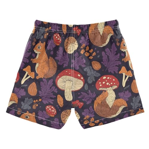 Boys Quick Dry Swim Trunks with Pockets Squirrels and Mushrooms Leaf Beach Shorts for Kids, Toddler Swimsuit Boy2