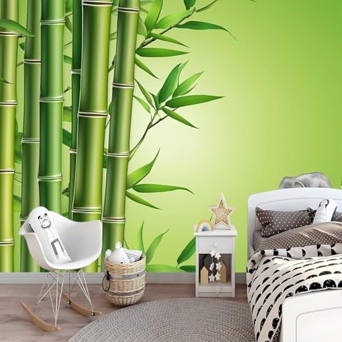 Fotomurales Decorativos Pared Zen Marca Buohwiwe