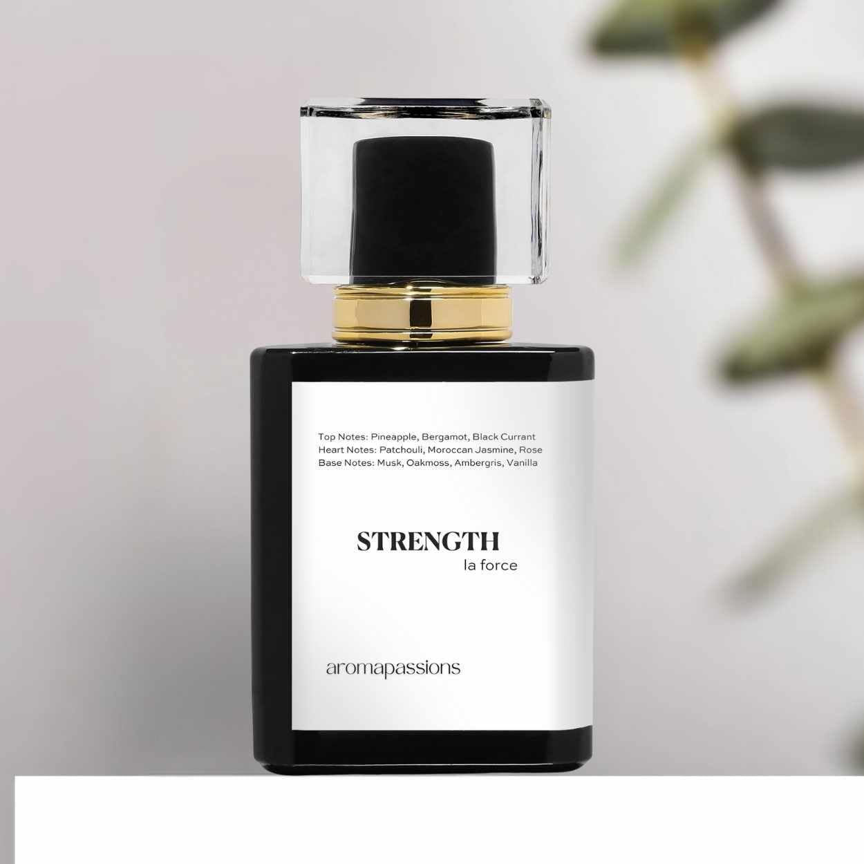 aromapassions STRENGTH | Inspired by CRD AVENTUS (VINTAGE formula) | Pheromone Perfume Cologne for Men | Extrait De Parfum | Long Lasting Dupe Clone Essential Oil Fragrance | Perfume De Hombre