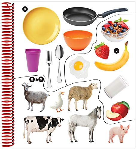 Brain Games - Sticker by Number: First Words (Ages 3 to 6): A Kid's Sticker Activity Book with More