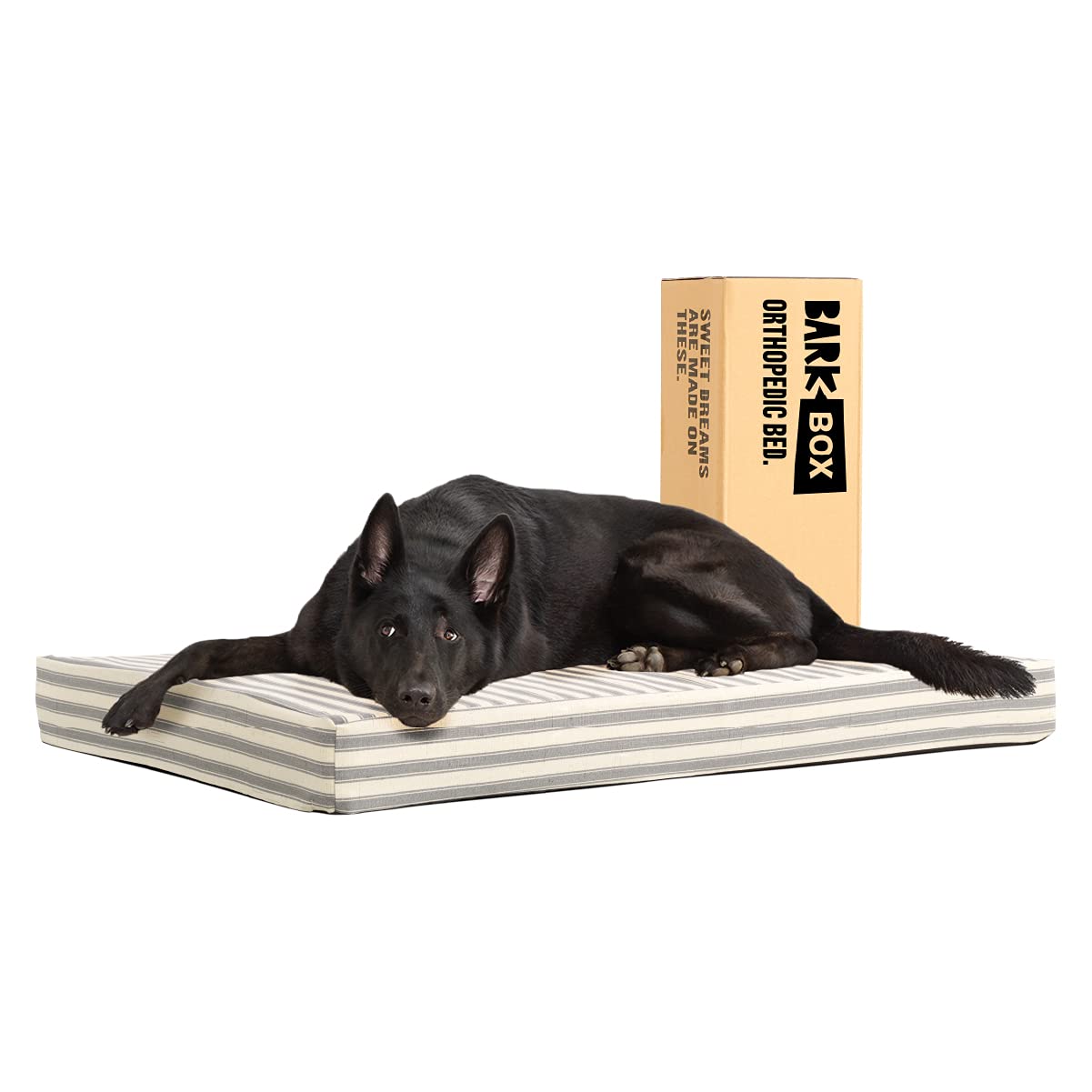 Barkbox Memory Foam Platform Dog Bed | Plush Mattress for Orthopedic Joint Relief | Machine Washable Cuddler with Removable Cover and Water-Resistant Lining | (X-Large, Stripe)