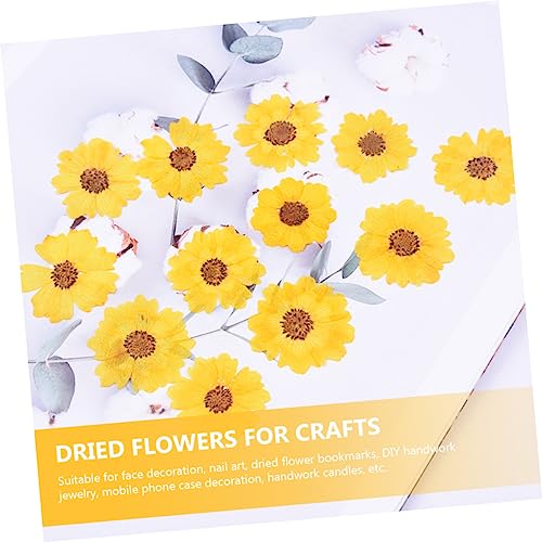 Kit de manualidades con flores secas DIY 24 piezas miniatura 4