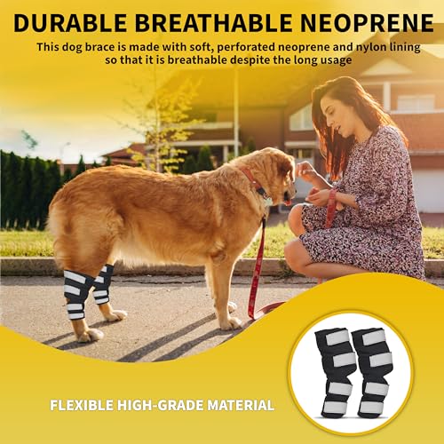 AGON® Dog Hock Brace Supportive Pair Hock Joint Brace with Metal Strings and Reflective Wraps Compression Straps Canine Back Leg Protects Wounds. Heals Injuries Sprains Loss Stability by Arthritis