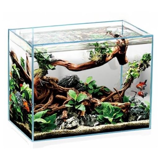 Aquariumline Aquarium ouvert en verre extra-clair 55L 60,6 x 32,6 x 34 h