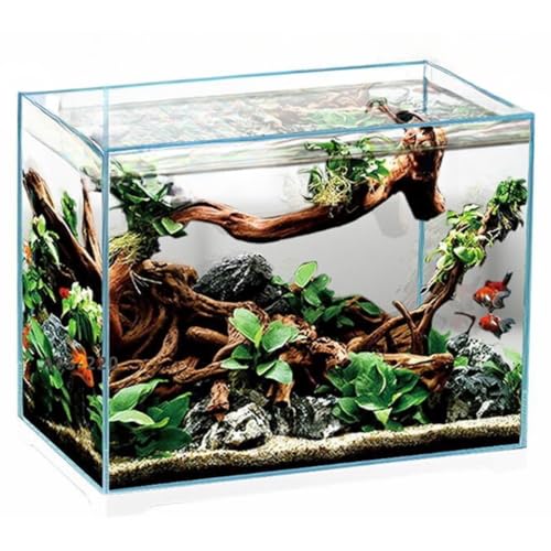 Aquariumline Aquarium ouvert en verre extra-clair 55L 60,6 x 32,6 x 34 h