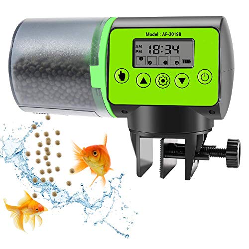 Die besten Microship Futterautomaten hier im Überblick Ratgeber