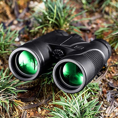 Binoculares compactos 10x42 impermeables para observación miniatura 5