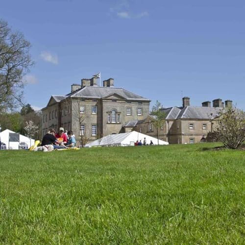 458: Best of the Fests