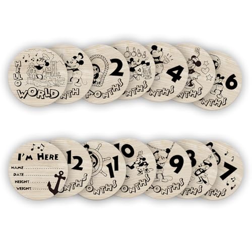 Little Mouse Baby Age Milestone Sign, Baby Monthly Cards/Discs for Baby Pregnancy Growth Photo Prop 7 Pcs Double Sided