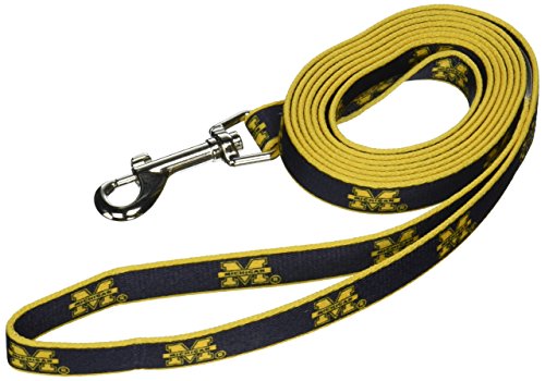 NCAA Michigan Wolverines Dog Leash, Small