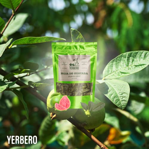 Yerbero - Premium Loose Leaf Bundle Teas | 5 Bags With 2oz (58gr) Each | Guava Leaf, Graviola Soursop Leaf, Fig Leaf, Avocado Leaf, Mango Leaf | Makes 30+ Cups Each Bag | 100% All Natural, non-GMO, Gluten-free.