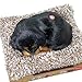 Imagen de PELUCHE C/SONIDO ROTTWEILER MINI_14X13X5,5CM
