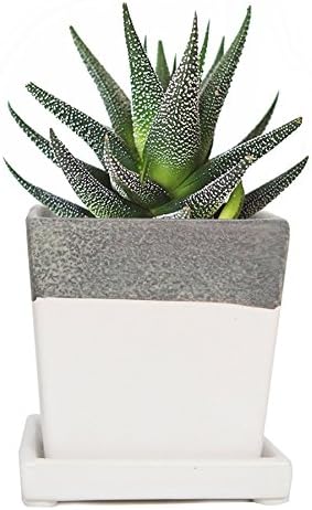 CHIVE - 3 Piece Set White Square Succulent Cactus Planter Pot, 3 Inch Ceramic Flower Plant Container, Drainage Hole/Saucer, Mini Pot Indoor/Outdoor Garden