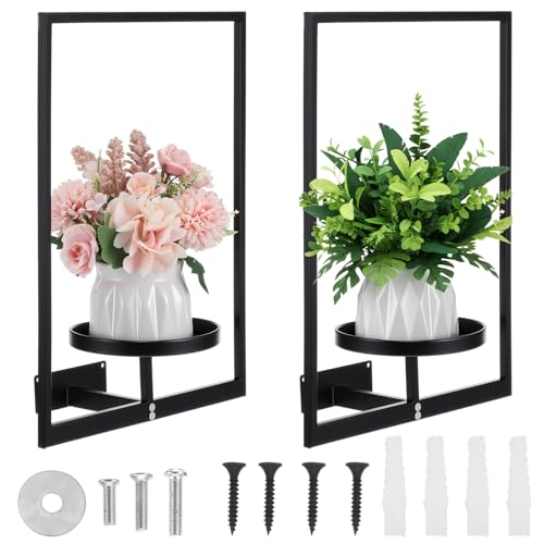 Nodaaiie 2 Pcs Wall Plant Holder, Indoor Window Hanging Plants