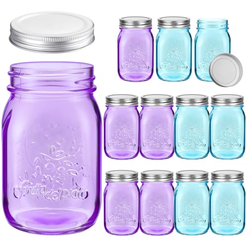 Pinkunn 12 Pcs Colored Mason Jars purple and blue