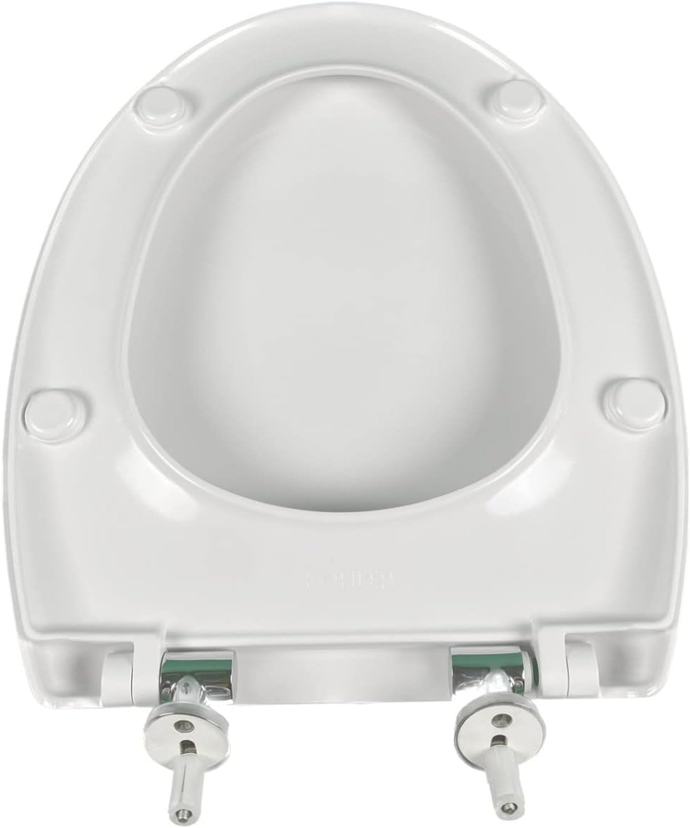 Back view of toilet seat with metal hinges