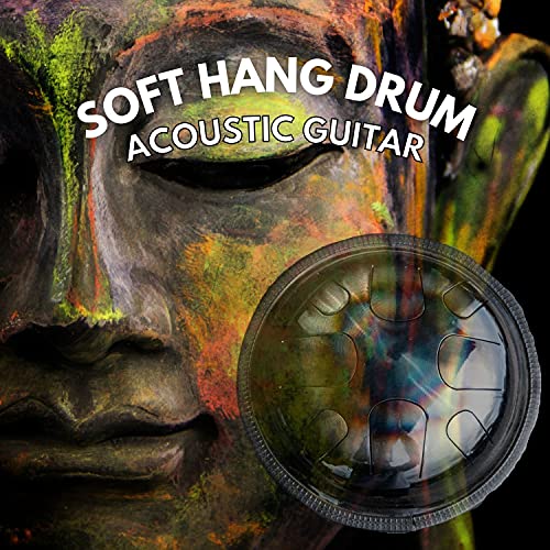 Best Hang Drum Player Expert Review The Modern Record