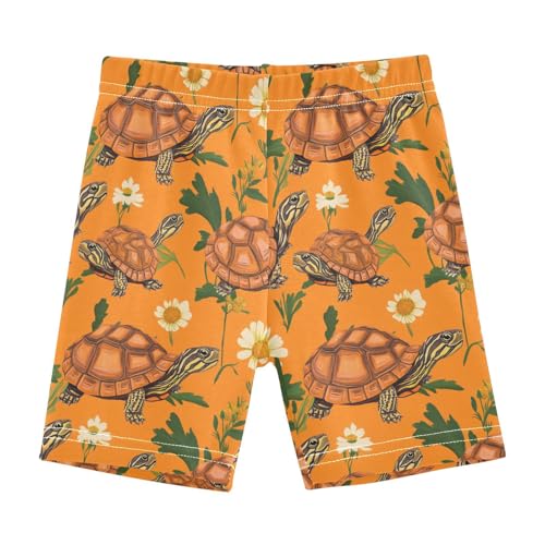 Shorts for Toddler Girls Comfy Cotton Bermuda Shorts Girls Clothes Under Skirt 10T Funny Eastern Box Turtle Reptile