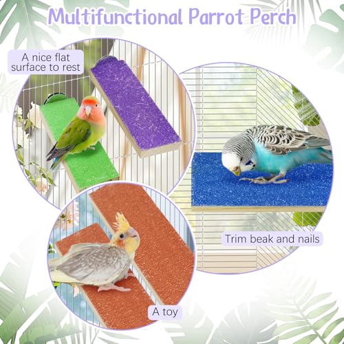 Image of Hamiledy Colorful Bird Perches Wooden Paw Grinding Board Parakeets Stand Platform Bird Chewing Toys Cage Accessories for Budgies Cockatiels Conure Lovebirds Parrots Hamsters(8 Pcs)