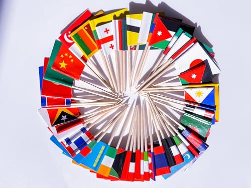 stidsds Asia Asian 48 Countries Toothpick Flags Mini Small Country National Cupcake Toppers Stick Flag World Festival Party Decoration(96 pcs)