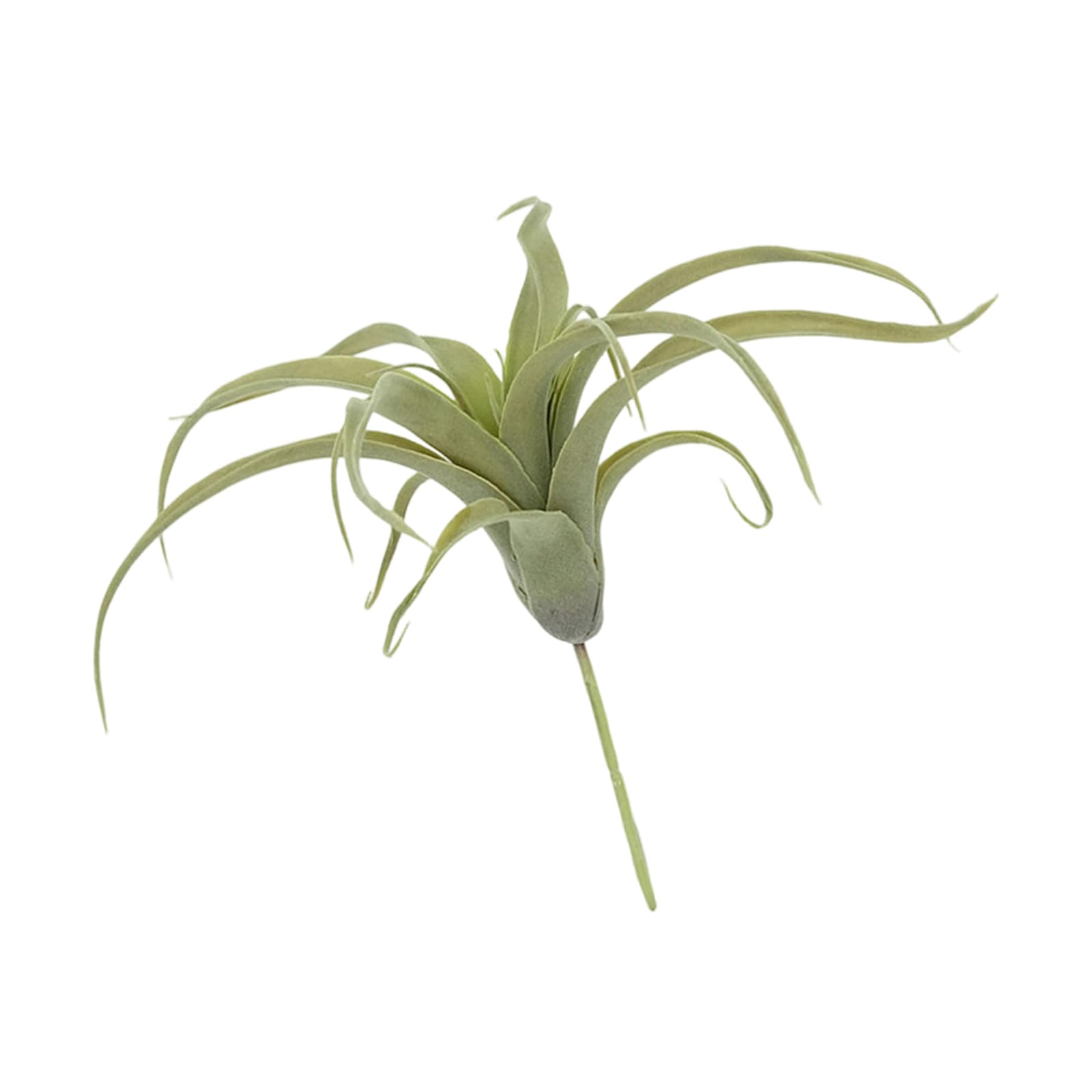 Mekalero Realistic Artificial Air Plant Greeneries Tillandsia Succulents for Home Offices Desk Shelf Decoration Display Accessory Air Plant