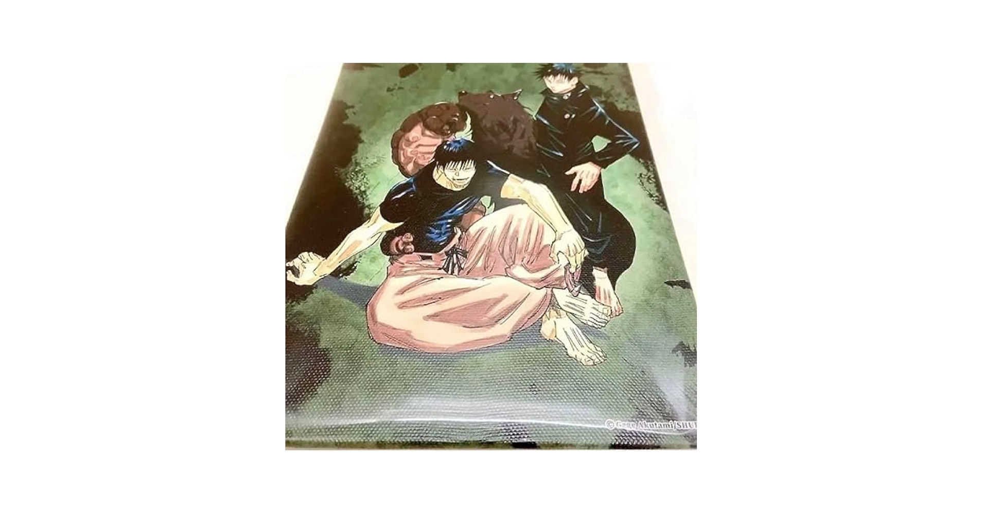伏黒恵 領域展開フェア ブロマイド Amazon.co.jp: 呪術廻戦