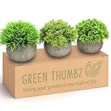 🌱 Para regalar -El set de suculentas artificiales en maceta sería un regalo conmovedor para cualquier amigo o familiar. A todo el mundo le gustan las plantas, y estas pequeñas suculentas artificiales sin duda alegrarán el día de cualquier ser querido. Las 3 plantas artificiales vienen sin necesidad de regarlas a diario, por lo que puedes estar seguro/a de que estás haciendo un regalo que resistirá el paso del tiempo.