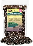 Gardenera Monstera Adansonii Advanced Potting Blend: Boost Aeration, Drainage & Nutrient Absorption - 4 Quart