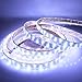 LEDENET 5050 SMD Double Row DC 24V 600LEDs 16.4Ft RGBW Cold White 6000K-6500K RGBW LED Strip Lights Waterproof IP67 for Wedding Party Holiday Outdoor LED Lighting