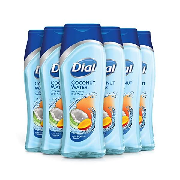 Dial Body Wash, Coconut Water & Mango, 16 Ounces , 6 Count (Pack of 1)