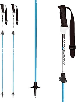 Amazon | [オガサカ] スキーストック 伸縮カーボンポール LC/BLU BLU