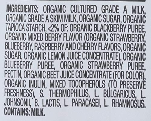 Happy Baby Organic Mixed Berry Yogurt Snacks, 1 Oz #TOP4