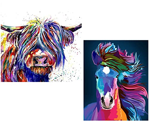 VEGCOO 2 Pack DIY Diamond Art Kits, 5D Diamond Painting Kits, Art Diamond Embroidery Paintings Arts Canvas Wall Art for Adult & Children Home Wall Decoration