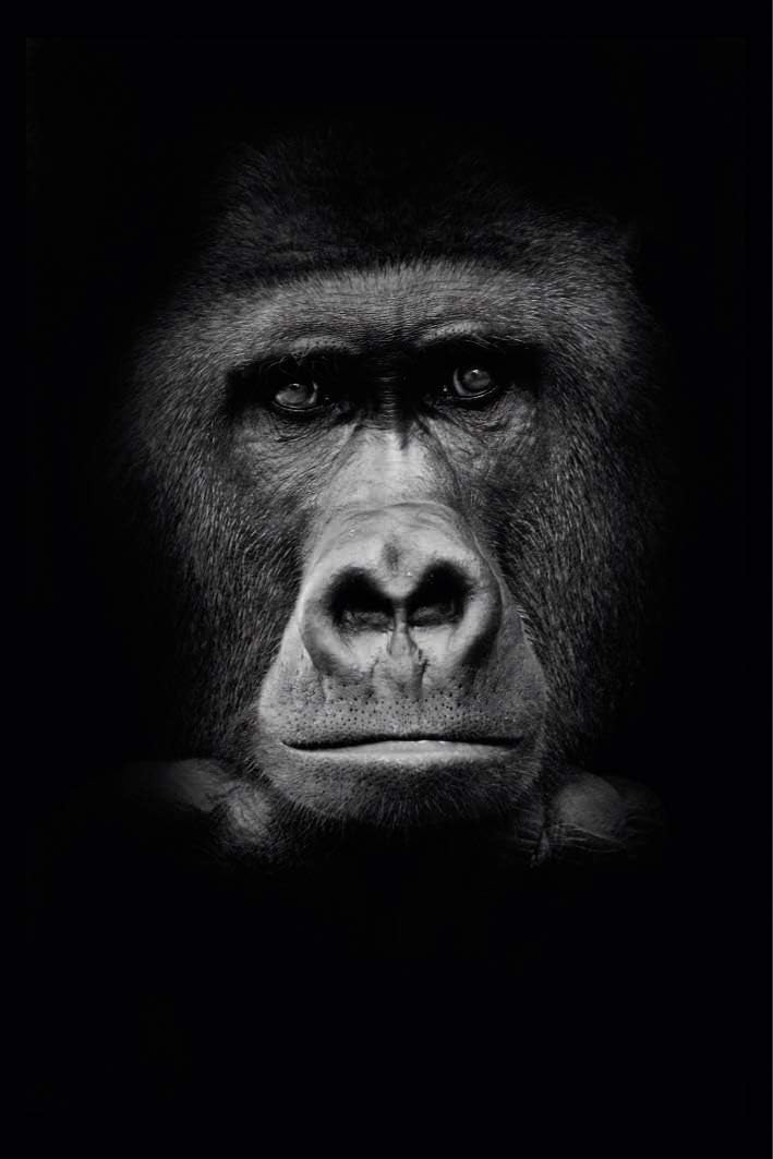 Scenolia Acrylic Glass Board 60 x 90 cm with White Print