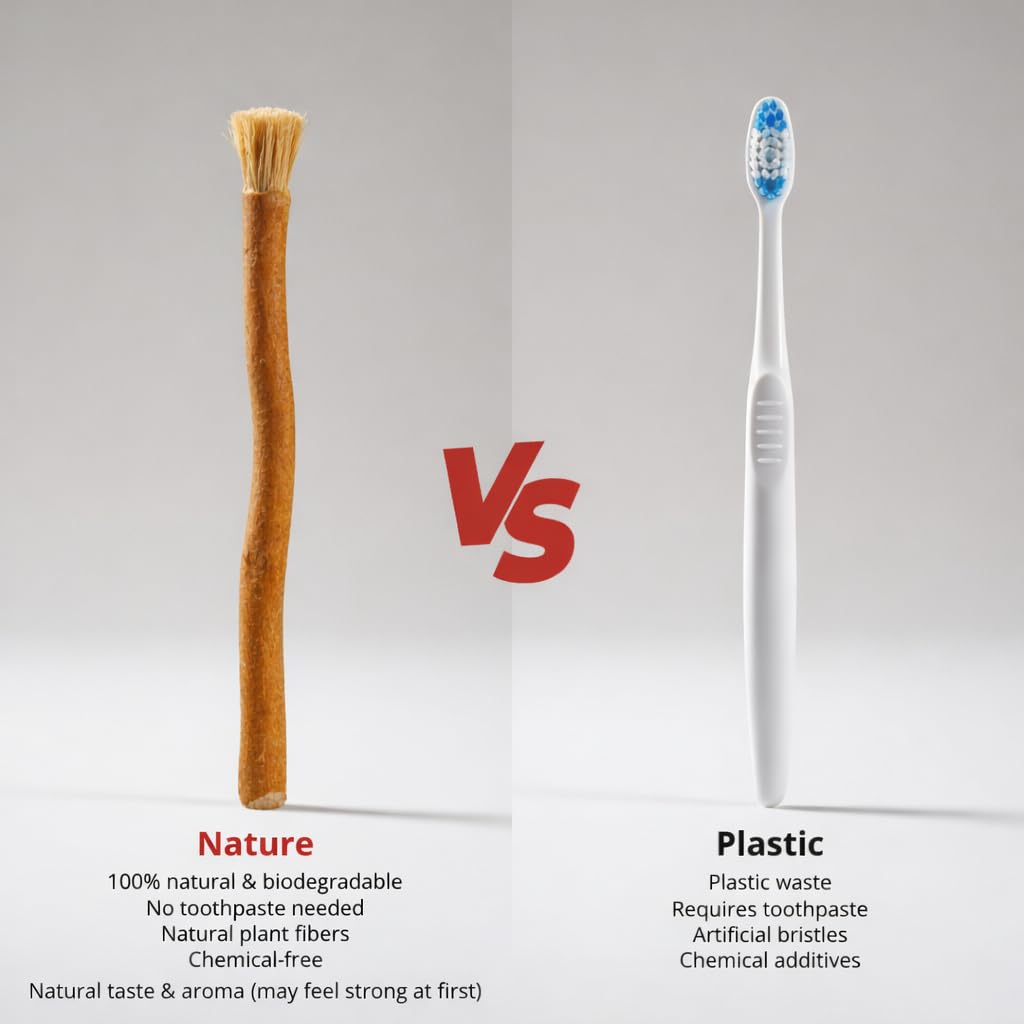 SEWAK Miswak Stick | Natural Toothbrush Sticks | Chewable for Teeth Cleaning | Siwak | Meswak | Salvadora Persica Stick | with Holder (10x Units)