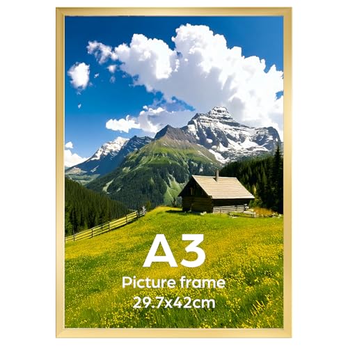 Ditwis A3 Picture Frame Gold Large Poster Frame for Horizontal or Vertical Wall Display in Living Room Office Gallery