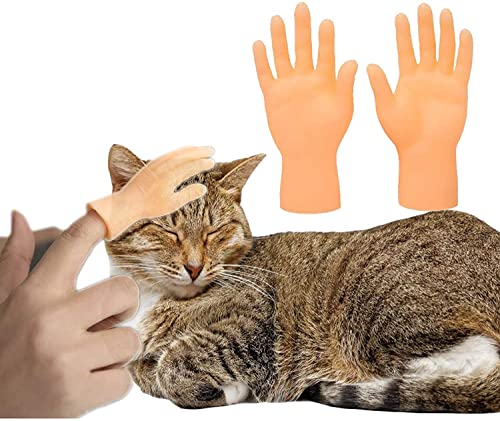 LUAMY L炵L̂ p tBK[ ~j`A̎ w~j͌^ Lp}bT[W ybgp E̎4yA